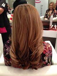 Pin By Verasweeney On Style Hair Blowout Hair Thick Hair Styles Blow Out Hairstyles