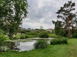 Der botanische garten der universität rostock dient als wissenschaftliche einrichtung der lehre, forschung und erhaltung seltener pflanzenarten. Trfihi Parks Parks Botanischer Garten Rostock