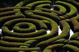 Maze Of Shrubs Maze Labyrinth Maze Garden Design
