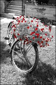 Black And White Bike Color Old Bicycle And Red Flowers Photo Print Black And White Isolated Color Photography Wall Art Red Flowers White Bicycles Bicycle