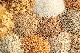 Complete List Of Grains And Pseudograins - Paleo Foundation Grains List Whole Grains List Grain Free Flours