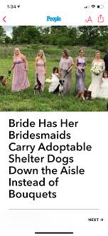 Aheinz57 pet rescue and transport was on hand to introduce guests to all the pets who couldn't make it to the ceremony. Just Don T Throw The Puppy Like A Bouquet Album On Imgur