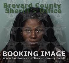 Arrests In Brevard County: February 11, 2024