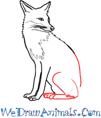 In this free art lesson, you'll learn how to draw a sleeping fox step by step. How To Draw A Realistic Fox