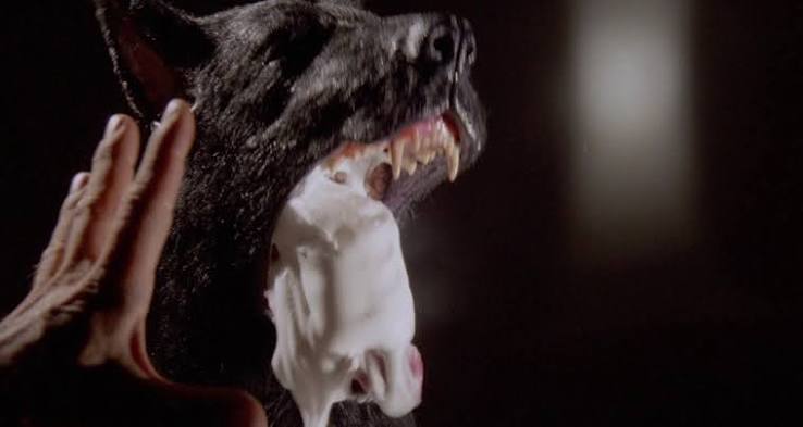 The Stuff (1985) | Monster Zone
