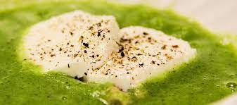 We did not find results for: Gordon Ramsay S Simple Broccoli Soup Recipe