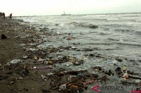 Mahmud kelas 2 tema 4. Buang Sampah Sembarangan Di Biak Dikenai Sanksi Rp10 Juta Antara News