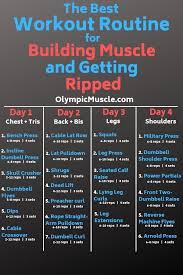 Plan D Entrainement Gym Pour La Perte De Poids Debutants In 2020 Best Workout Routine Workout Splits Bodybuilding Workouts Routines