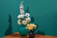 They have a couple of episodes. Letter Of Recommendation Fake Flowers The New York Times
