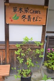 奈良吉野の植物で染める 草木染craft 冬青 よしのーと
