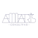 Amaris Consulting