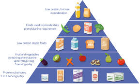 Maybe you would like to learn more about one of these? Pku Dietary Handbook To Accompany Pku Guidelines Springerlink