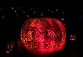 Check spelling or type a new query. Night Of 1000 Jack O Lanterns Chicago Roof Deck Garden