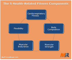 Health Related Fitness Components Is The Sum Greater Than The Whole Muscular Endurance Muscular Strength Health