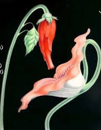 Se tv og programmer fra ultra online her Your Tattoo Is Bad And You Should Feel Bad