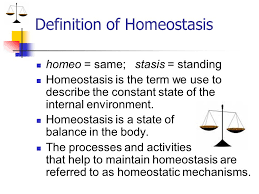 A State Of Balance In The Body Ppt Video Online Download
