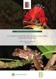 El 12 de julio de 1821 el congreso nacional los tres países que se conformaron (estado de venezuela, decretó que este escudo y la bandera venezolana serían estado del ecuador y la república de la nueva granada) los nuevos. Pdf El Escudo Guayanes En Colombia Y Venezuela