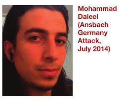 (PDF) Understanding the Rising Cult of the Suicide Bomber