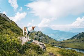 Veranstaltungen, wissenswertes, fotos, videos und vieles. Gasteinertal Tipps Die 3 Schonsten Wanderungen