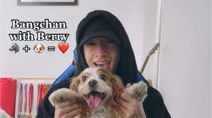 Bangchan with his dog Berry 🐺 + 🐶 = ❤️ - YouTube
