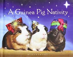Maybe you would like to learn more about one of these? Guinea Pig Books