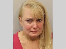 LCSO Daily Booking Report