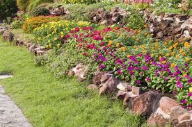 This type of herbicide prevents the weed seeds from germinating and is safe to use around plants. The 11 Best Weed Killers For Flower Beds Reviews Guide Of 2021