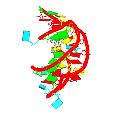 Rcsb Pdb 6e1v Crystal Structure Of A Class I Preq1