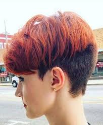 Change is great, a fresh and new short hairstyles can bring you the energy and confidence. Two Color Pixie Cut Novocom Top