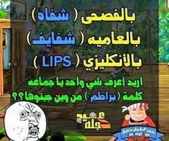 ههههههه lul novelty sign decor novelty