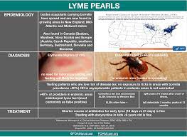 Lyme Disease Borreliosis Foamcast