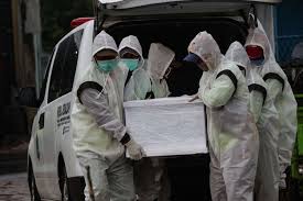 Click on a country or territory to see cases, deaths, and recoveries. Ohskmqx4n94irm