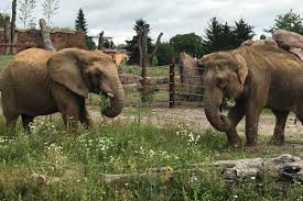 Haus befindet sich am stadtrand von magdeburg. Vdz Verband Der Zoologischen Garten E V Magdeburg