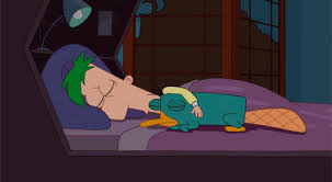 Watch the full video | create gif from this video. Animated Gif In Perry The Platypus Phineas And Ferb Collection By ÏŸ