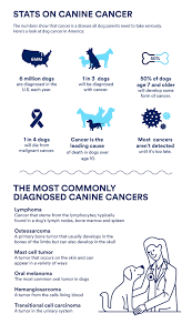 It's sometimes used by itself, and other times it's used in living with cancer. All About Dog Cancer Testing Petco