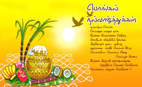 Pin On Pongal Wishes