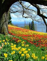 Photos From Posts Beautiful Landscapes Beautiful Nature Beautiful Gardens