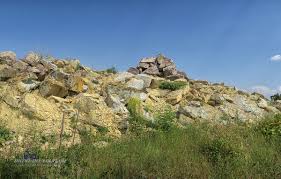 Im forstbotanischen garten tharandt befinden sich der bonnsai forstgartenshop und der bonnsai forstparkshop. Forstbotanischer Garten Tharandt Leben Und Reisen Im Wohnmobil
