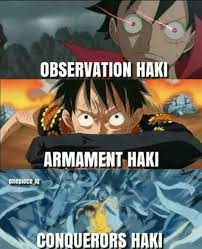 Luffy S Haki One Piece Luffy One Piece Anime Manga Anime One Piece