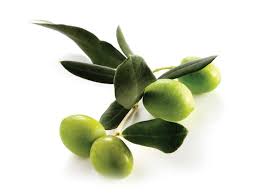 Olives Once Used In Ancient Egypt Olive Oil Extract Is Regaining Popularity For Its Medicinal Properties Benefits Of Eating Olives Olive Fruit