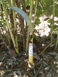 We did not find results for: Japanese Garden Tools