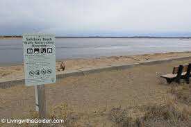 The reservation overlooks the point in which the merrimack river meets the atlantic ocean. Salisbury Beach State Reservation Salisbury Ma Living With A Golden