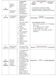 Types Of Vitamins Water Soluble And Fat Soluble Vitamins