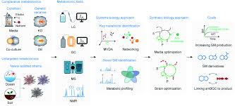 Tan peng sam & co is based in brickfields , kuala lumpur and offers business compliance, auditor and more. Systems And Synthetic Biology To Elucidate Secondary Metabolite Biosynthetic Gene Clusters Encoded In Streptomyces Genomes Natural Product Reports Rsc Publishing Doi 10 1039 D0np00071j