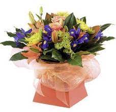 Hours may change under current circumstances Hirzel Brothers Greenhouse Tangerine Hotty Toledo Oh 43605 Ftd Florist Flower And Gift Delivery
