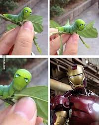 I Am Iron Worm Funny Animals Marvel Funny Funny Pictures