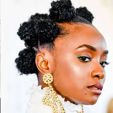 The hair is natural and beautiful with a gorgeous twisted look at the front. 30 Best Protective Hairstyles For Natural Hair Of 2021