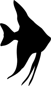Patrick's day, can't pinch this $ 0.00 view product; Tropical Fish Silhouette Png Free Tropical Fish Silhouette Png Transparent Images 65227 Pngio