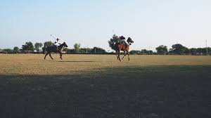 Looking for camels in saudi arabia ? 7 Day Horse Riding Safari Holiday In Rajasthan Bookhorseridingholidays Com