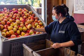 Apple varieties grown by clarkdale fruit farms. Clarkdale Fruit Farms In Deerfield Masslive Com